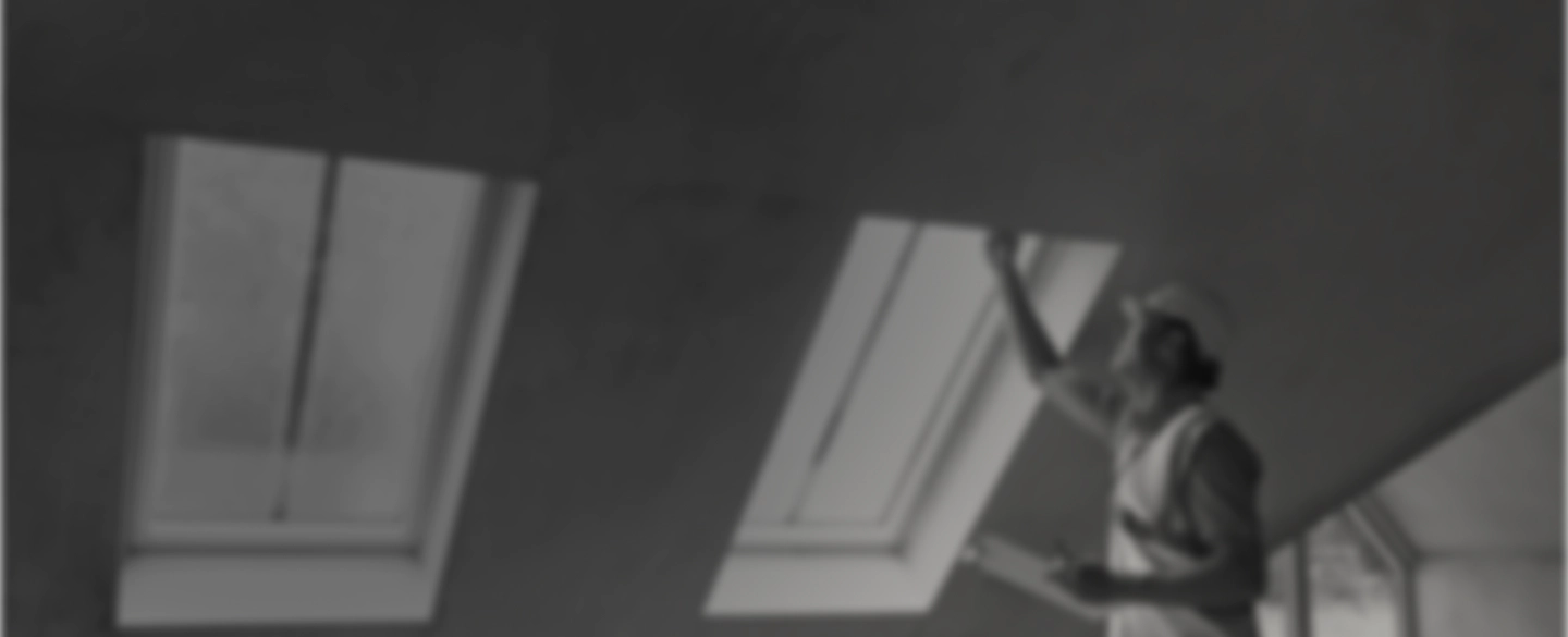 inspecting house ceiling dallas tx 1