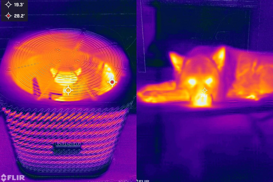 thermal house inspection technique dallas tx