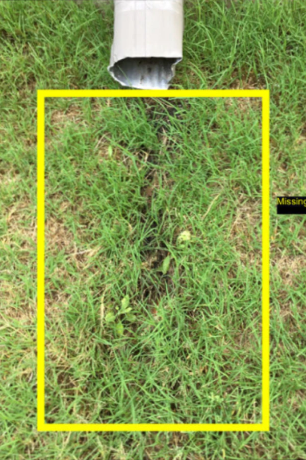 grass yard inspection dallas tx